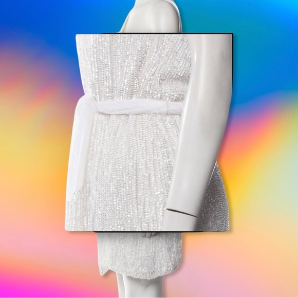 NWT RETROFETE ELLA DRESS - MOONGLOW - LARGE - Picture 3 of 10